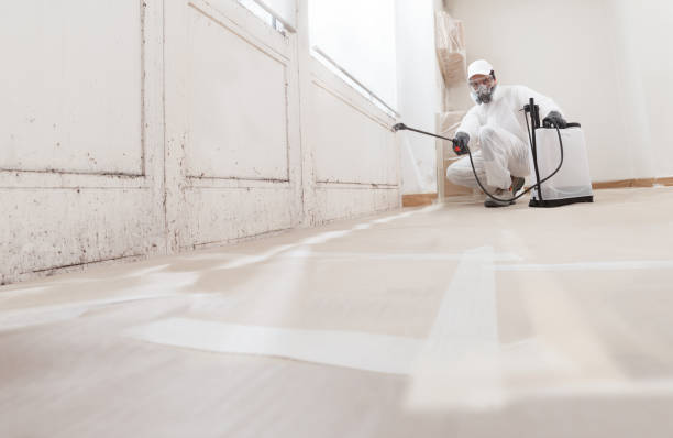 24/7 Emergency Mold Removal experts in Teaneck, NJ